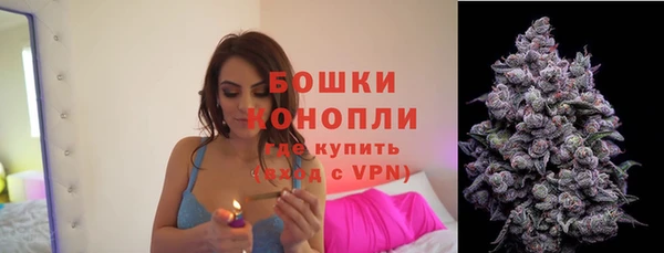 шишки Абдулино