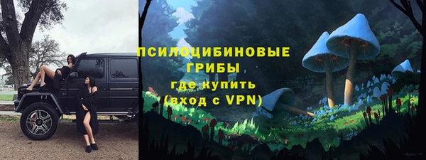 герыч Алексин